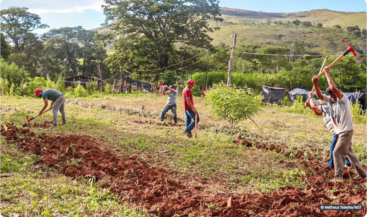 Capa: Justiça nega reintegração em fazenda ocupada pelo MST em Minas Gerais