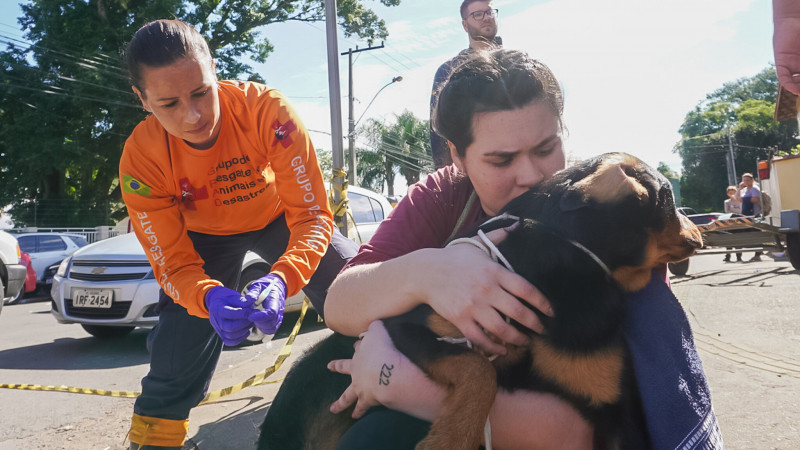 Capa: Rio Grande do Sul firma acordo com ONG para assistência a animais resgatados