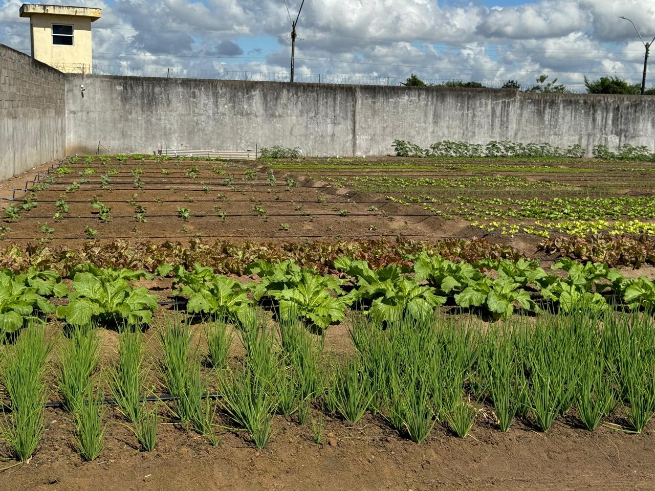 Capa: Fenagro terá materiais e alimentos produzidos em unidades prisionais da Bahia