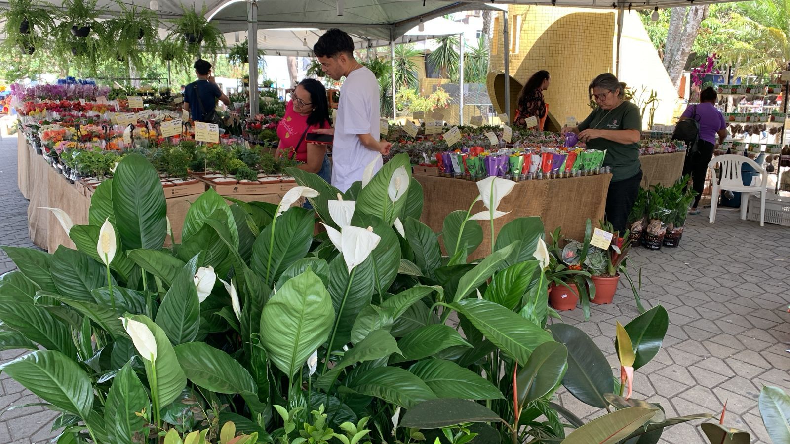 Capa: Evento de abertura da Feira de Flores em Lauro de Freitas tem horário especial