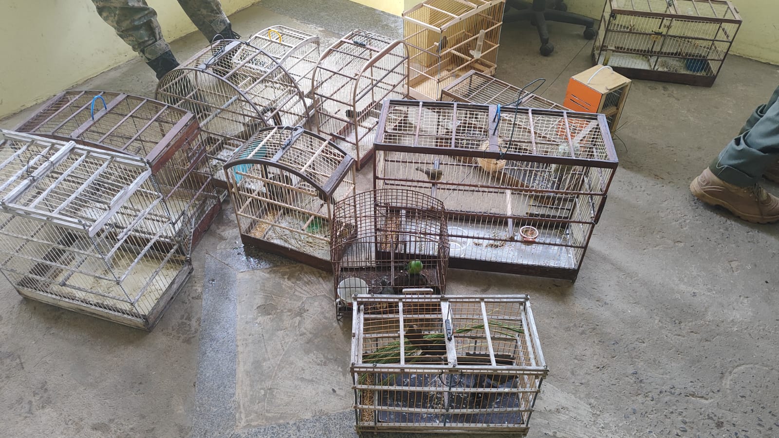 Capa: Trabalhador rural é morto após discussão sobre gaiola de passarinho em Eunápolis