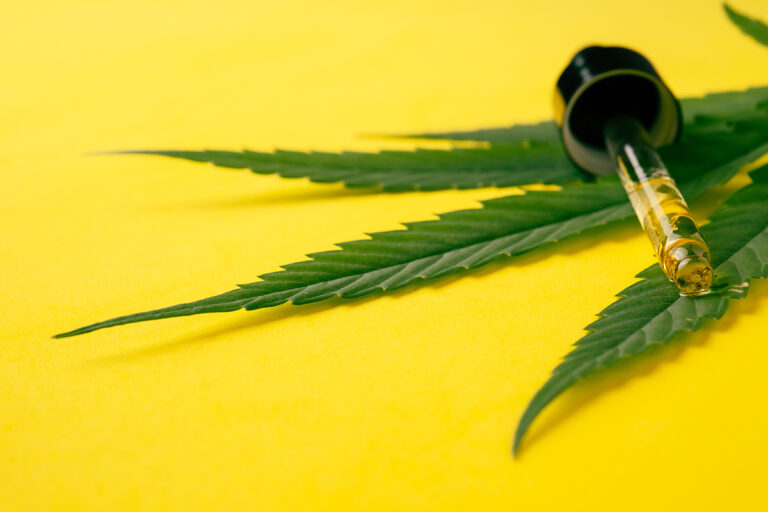 Capa: Anvisa proíbe venda de produtos de cannabis e cogumelos