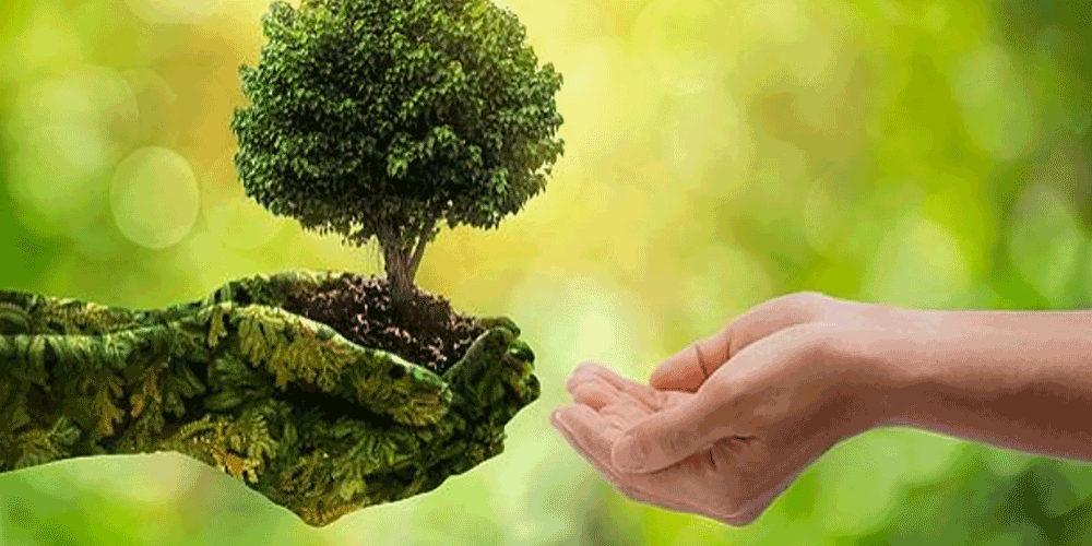 Capa: “Ecologizar a política e politizar a ecologia” é tema de debate em Salvador