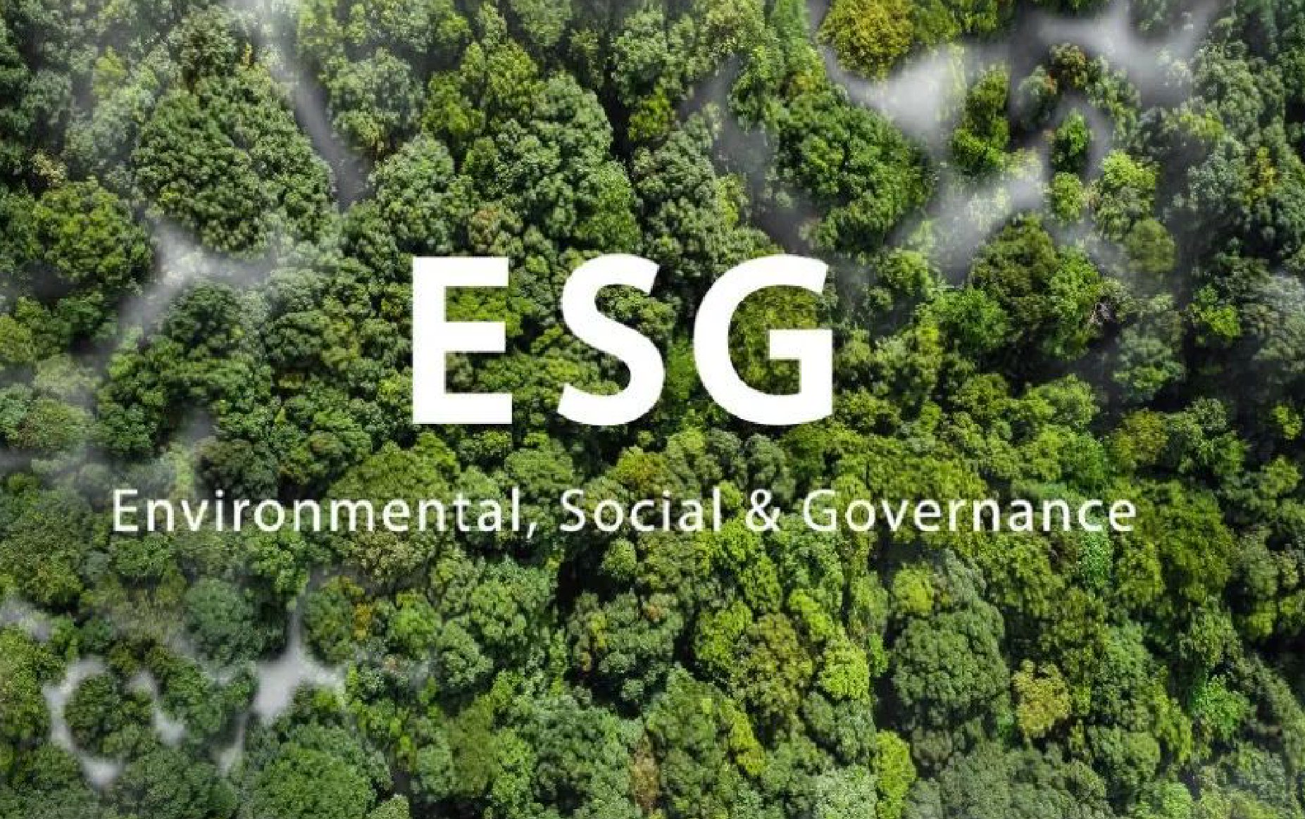 Capa: Dia Internacional do Lixo Zero: como empresas reduzem resíduos e aplicam gestão sustentável e tecnológica