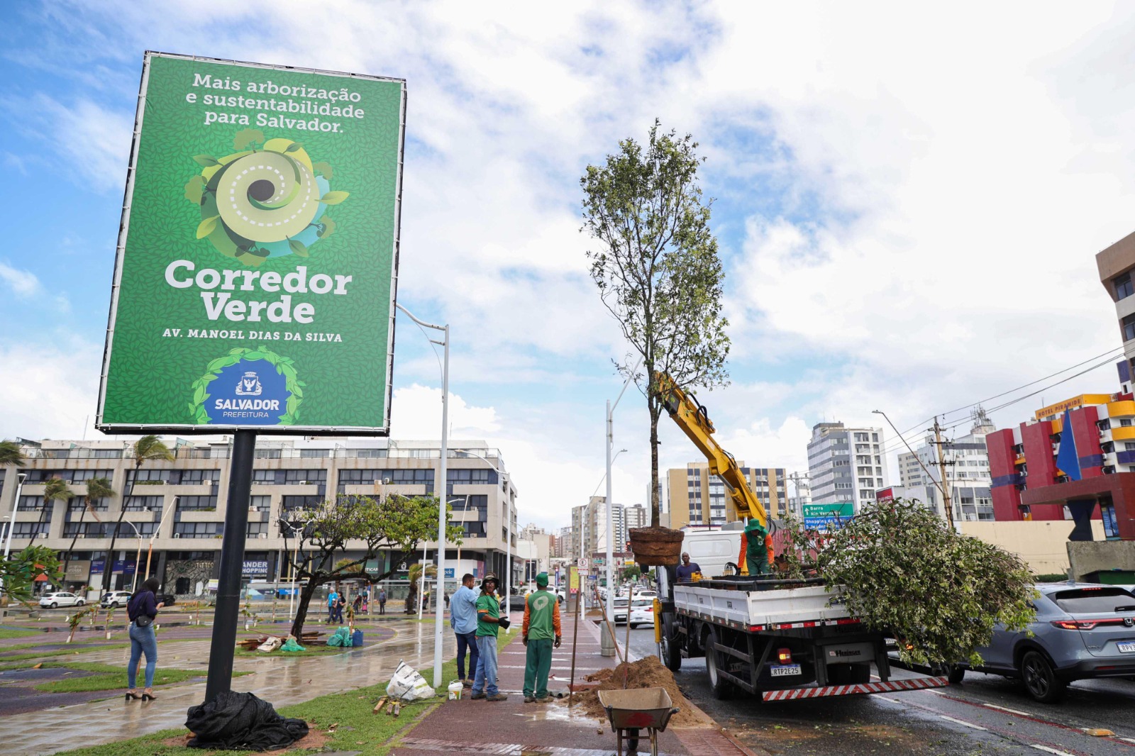 Capa: Salvador passa a integrar rede global de cidades reconhecidas por gestão de arborização urbana e cuidado com áreas verdes