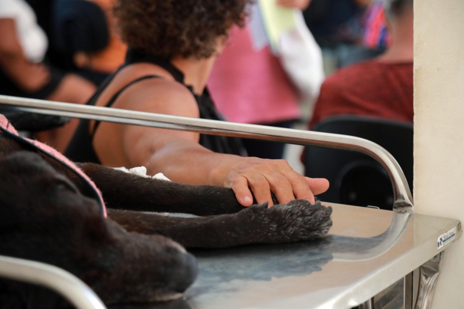 Capa: Hospital Veterinário de Salvador completa dois anos com mais de 337 mil atendimentos