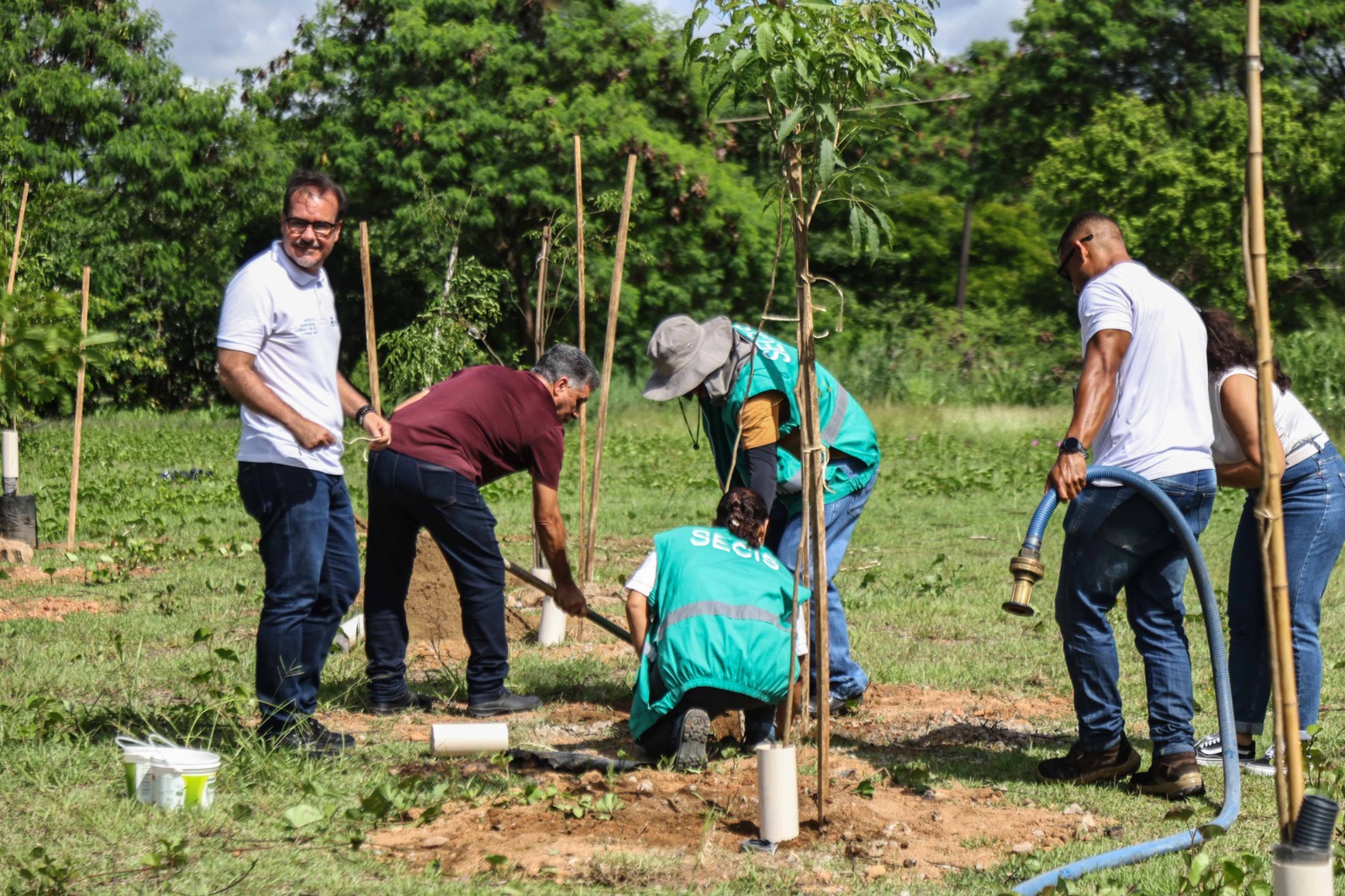 Capa: Operação da Prefeitura de Salvador promove plantio de 110 mudas na região de São Cristóvão