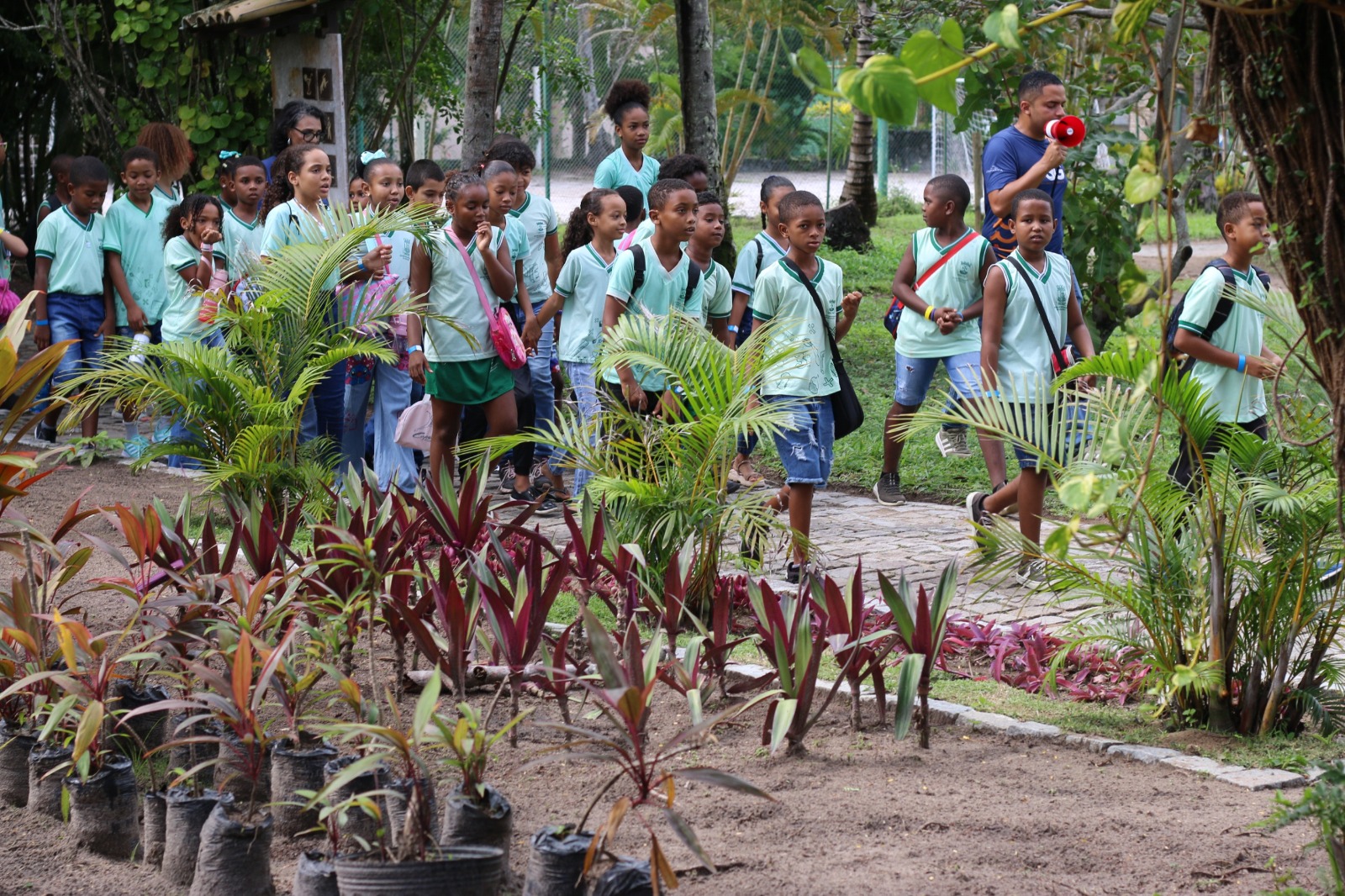 Capa: Natureza vira sala de aula em programação especial da Semana do Meio Ambiente