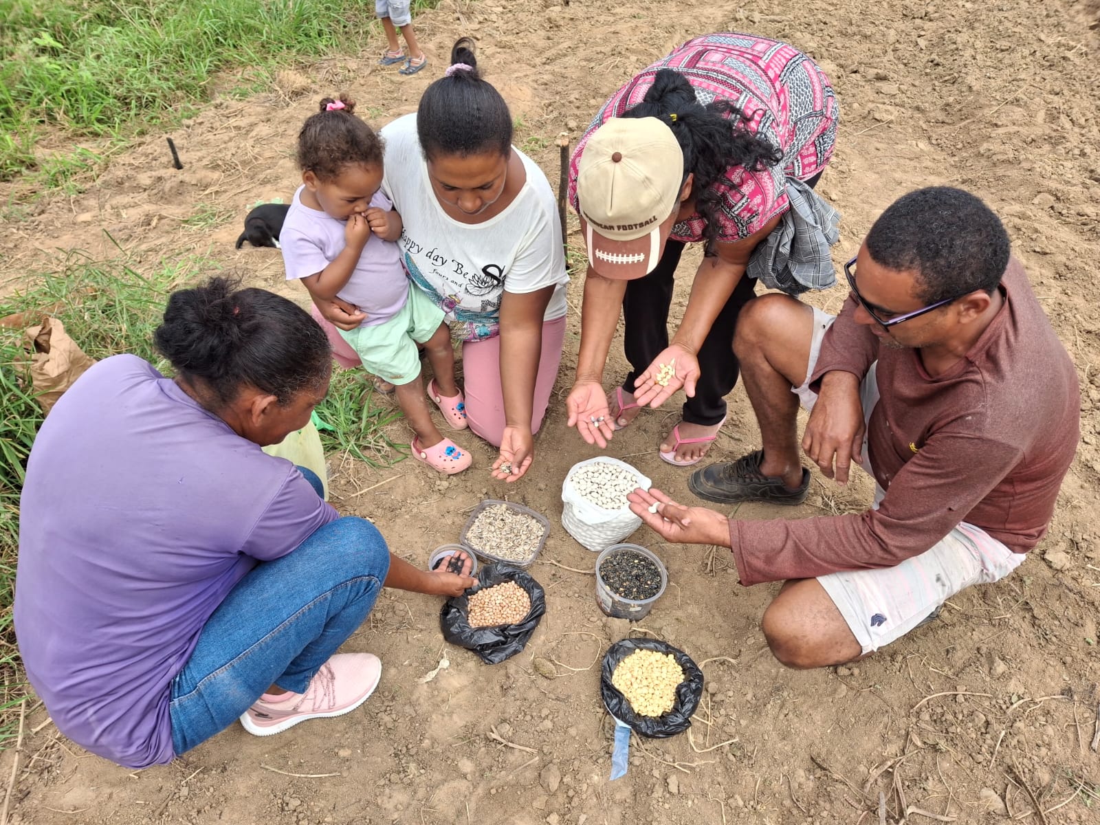 Capa: Projeto trinacional Raízes Agroecológicas acontece nesta quinta-feira (11) em Salvador