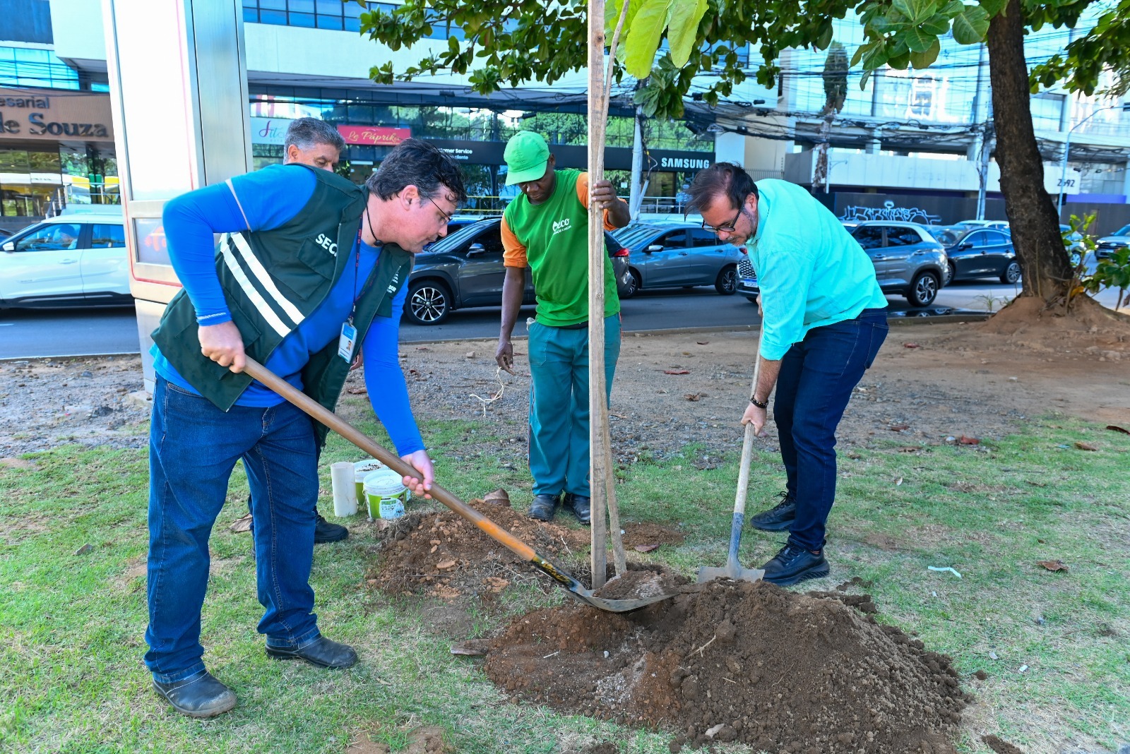 Capa: Prefeitura de Salvador inicia plantio de mais de 1 mil mudas de árvores na Avenida ACM