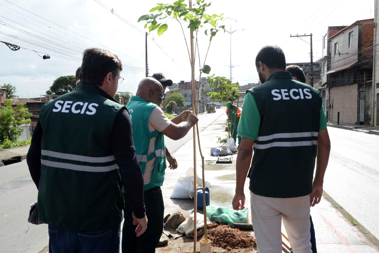 Capa: Prefeitura de Salvador oferece programa Plante no Passeio para ampliar arborização de Salvador
