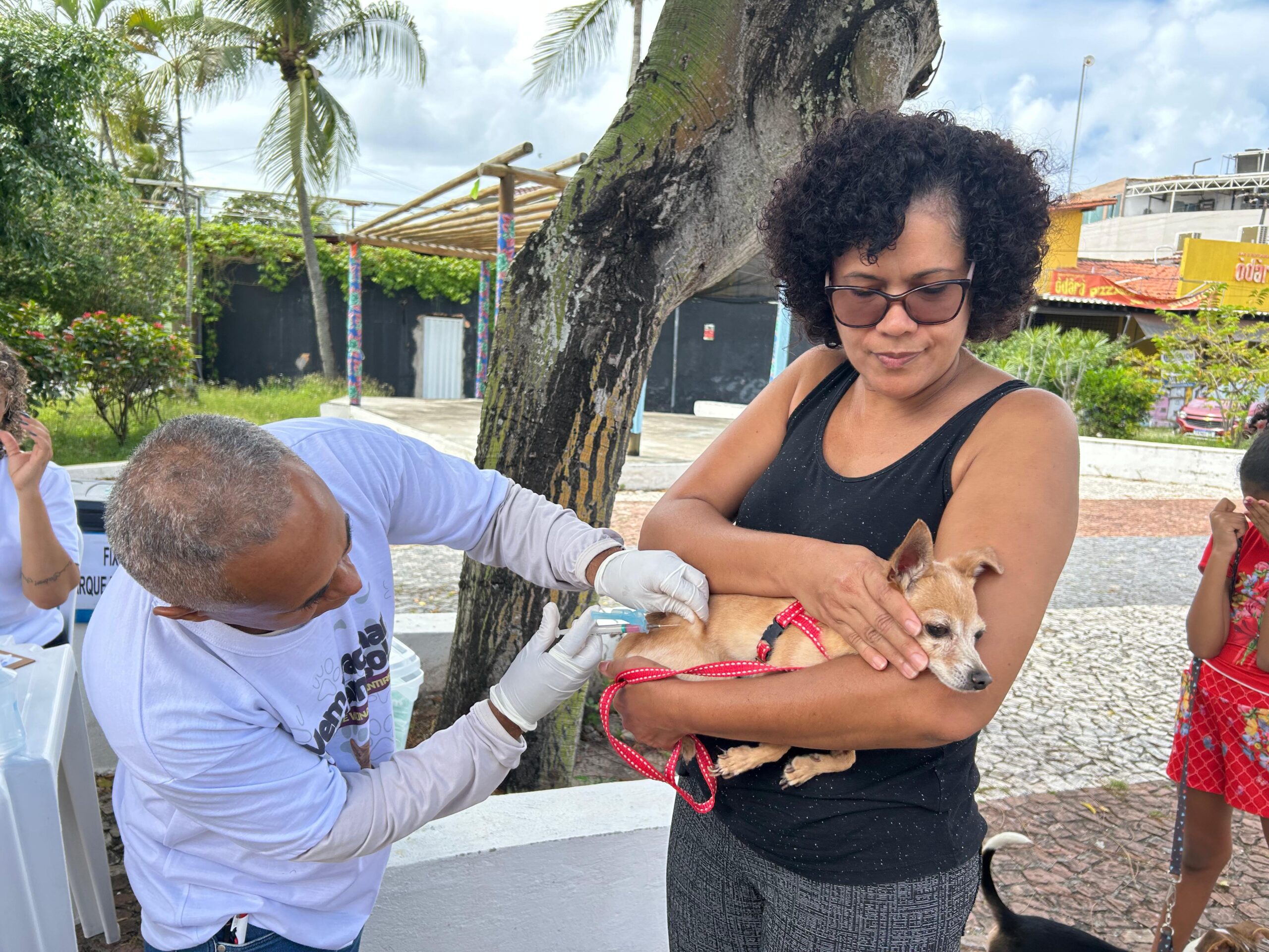 Capa: Prefeitura de Lauro de Freitas inicia Campanha de Vacinação Antirrábica Animal neste sábado