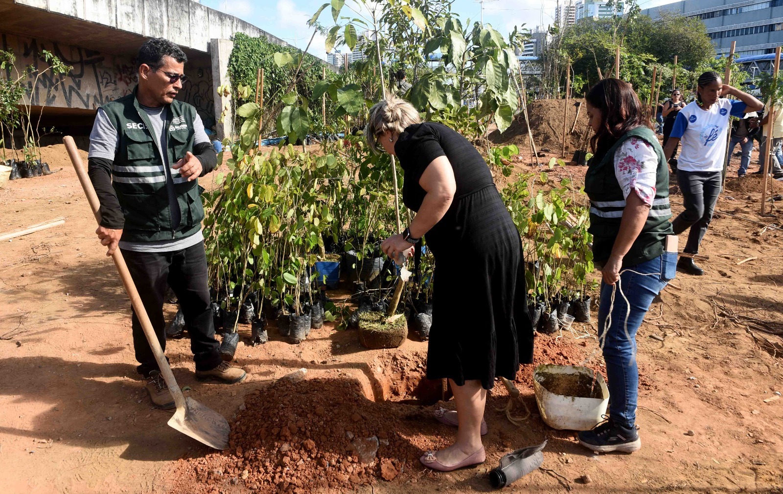 Capa: Salvador ganha microfloresta com 3,6 mil árvores em área de 5 mil m² na Avenida ACM